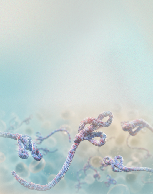 Ebola Virus: What You Should Know