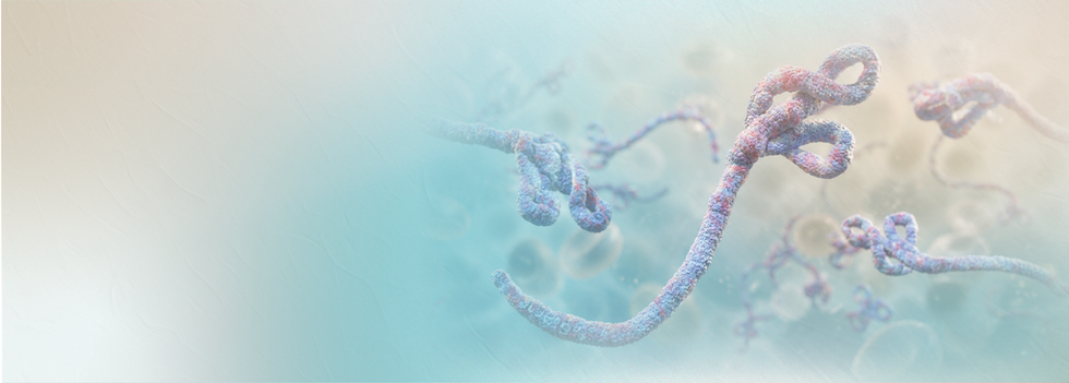 Ebola Virus: What You Should Know