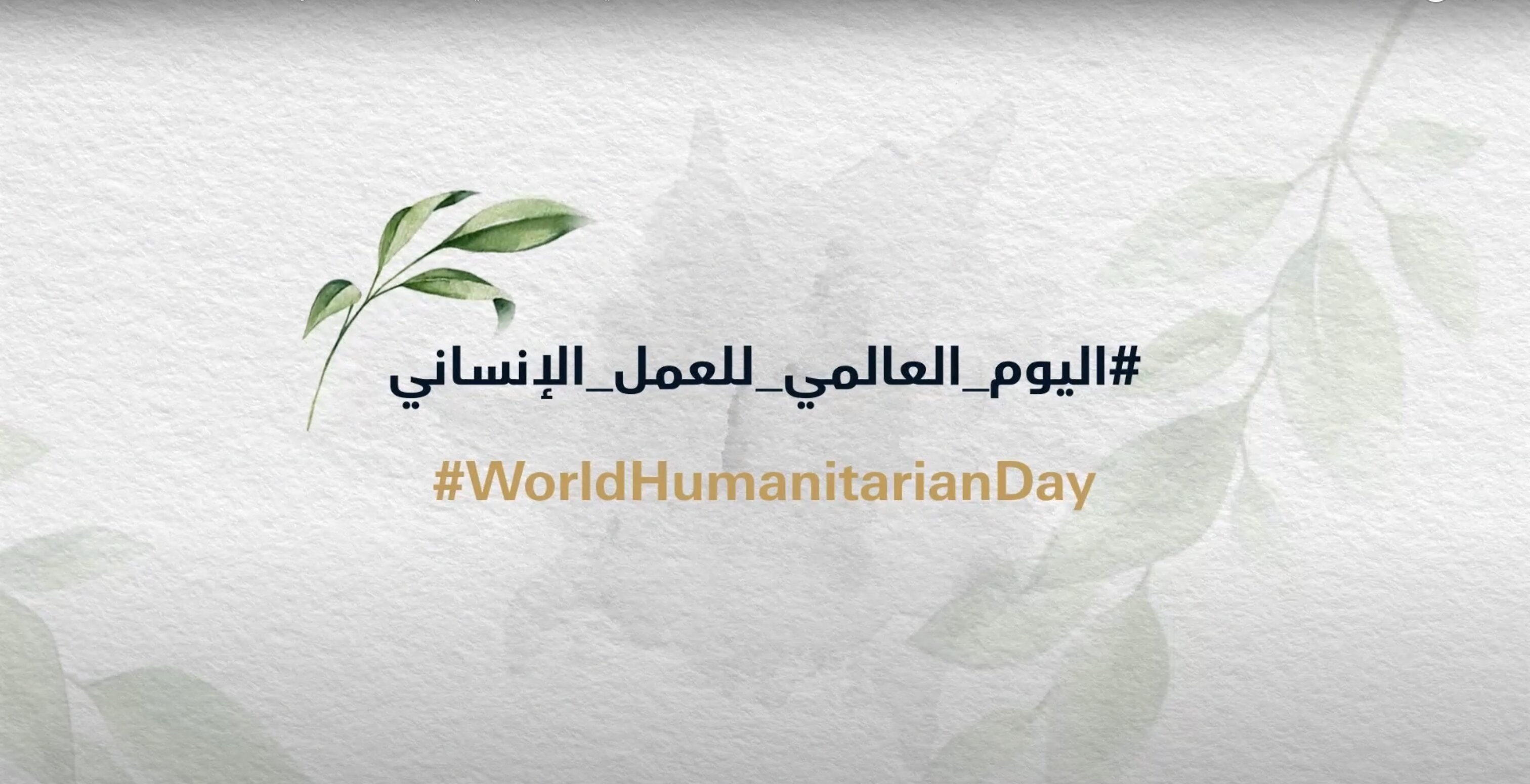 World Humanitarian Day 2023