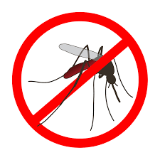 World Malaria Day